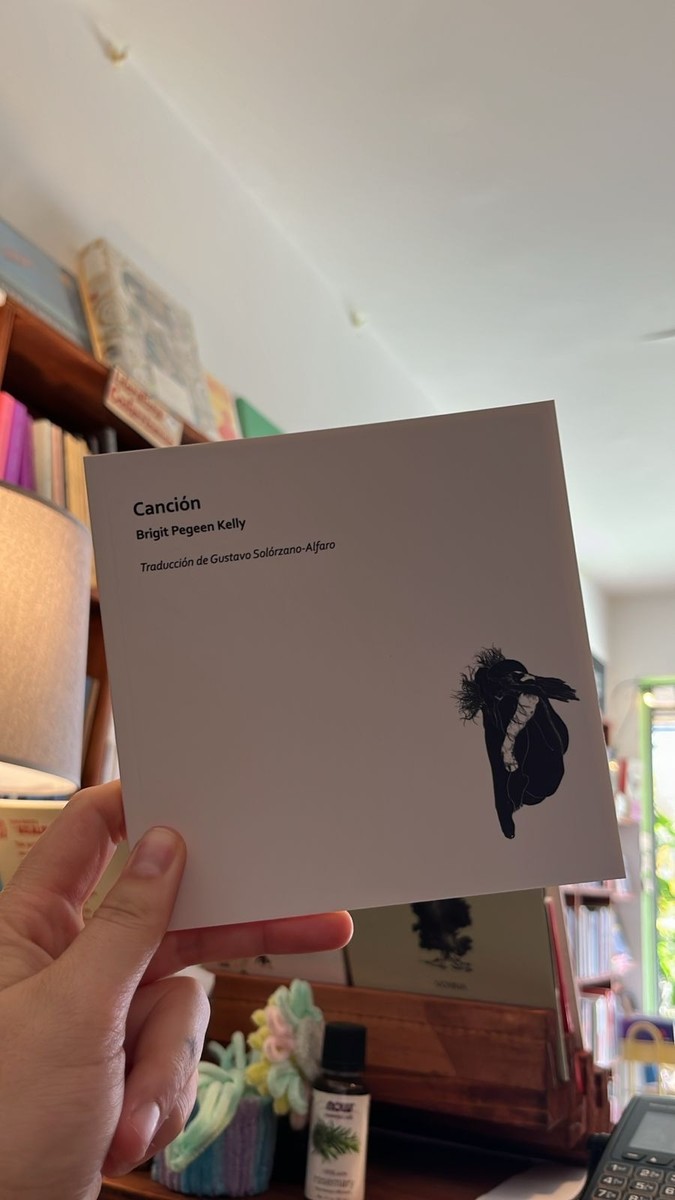 Canción - Brigit Pegeen Kelly