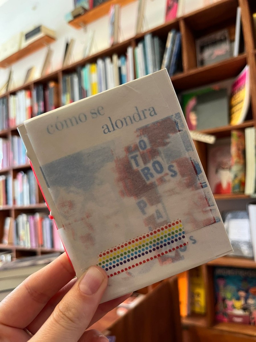 cómo se alondra otros pájaros - fanzine