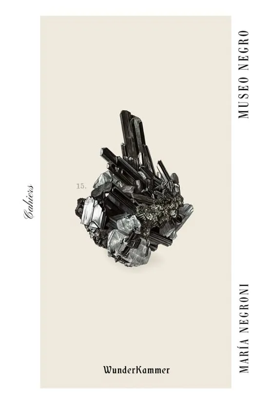 Museo negro - María Negroni