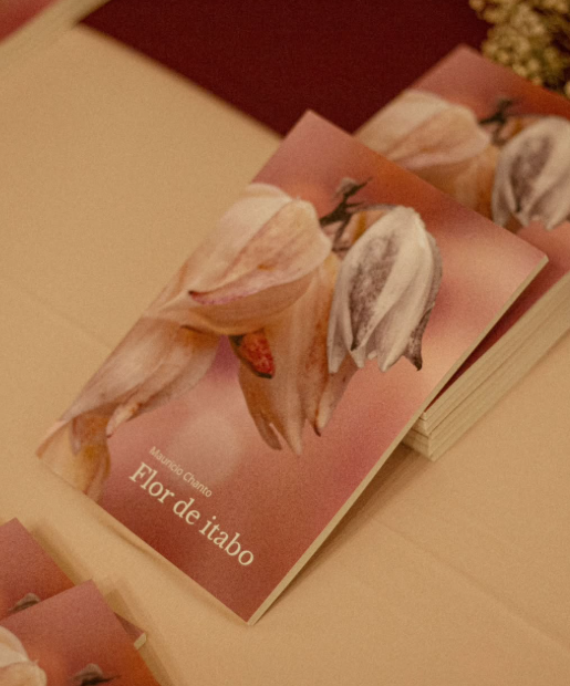 Flor de itabo - Mauricio Chanto