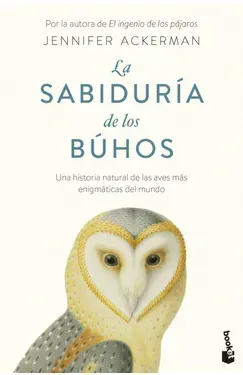 La sabiduría de los búhos - Jennifer Ackerman
