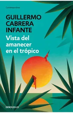 Vista del amanecer en el trópico - Guillermo Cabrera Infante