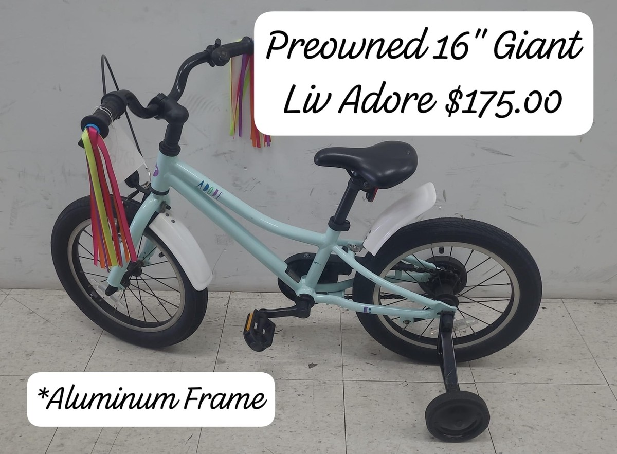 16" Giant Liv Adore Light Blue