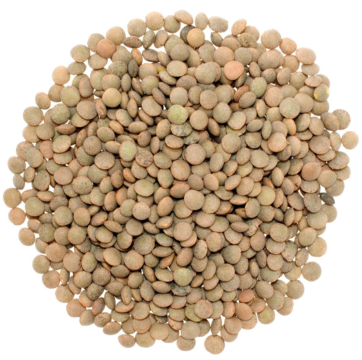 Eastern Feast Green Lentil