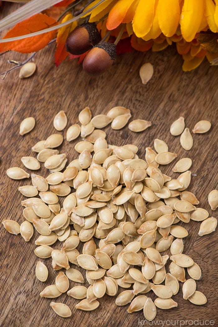 Squash Seeds