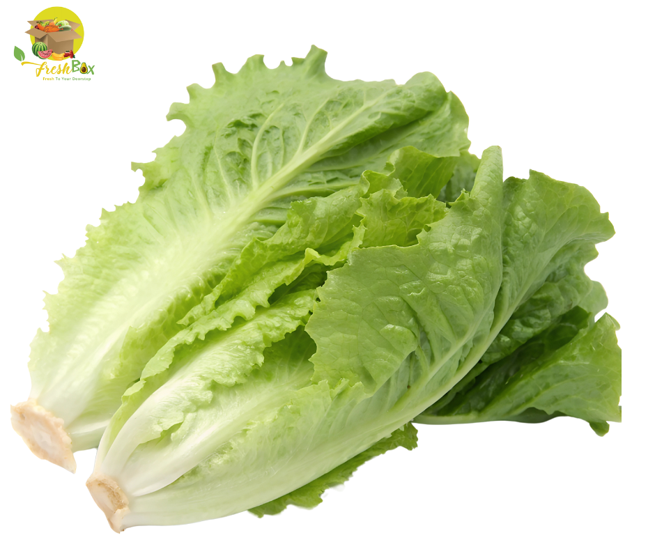 Romaine Lettuce (per pound)