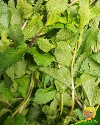 Fresh Mint (per pound)