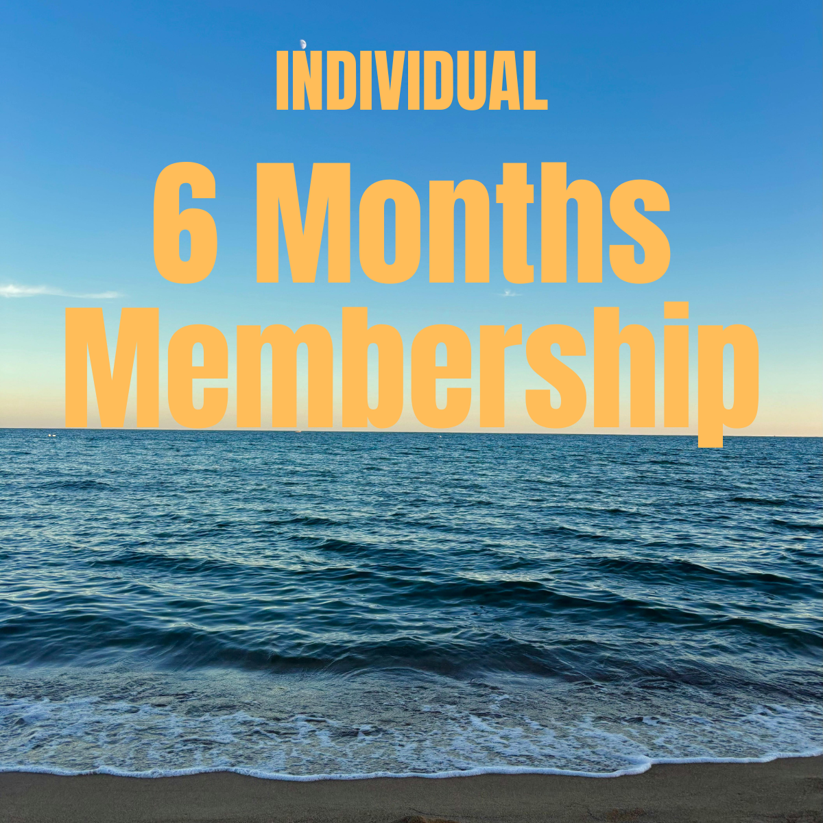 Individual: 6 Months