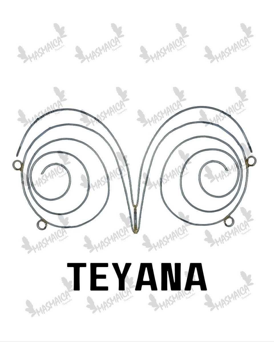 Teyana Wire Bra Frame