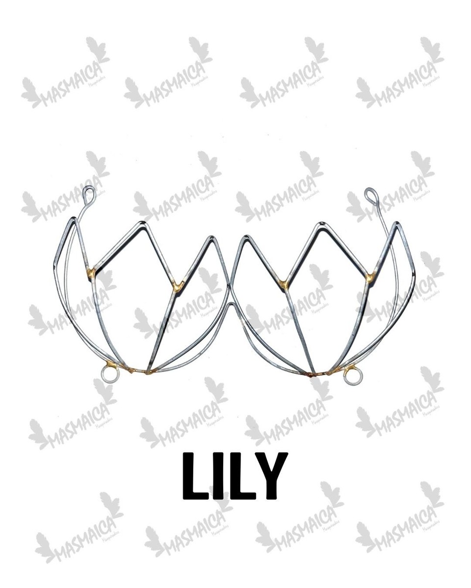 Lily Wire Bra Frame