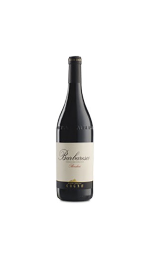 Elvio Cogno Bordini Barbaresco DOCG 2017 8033675418179