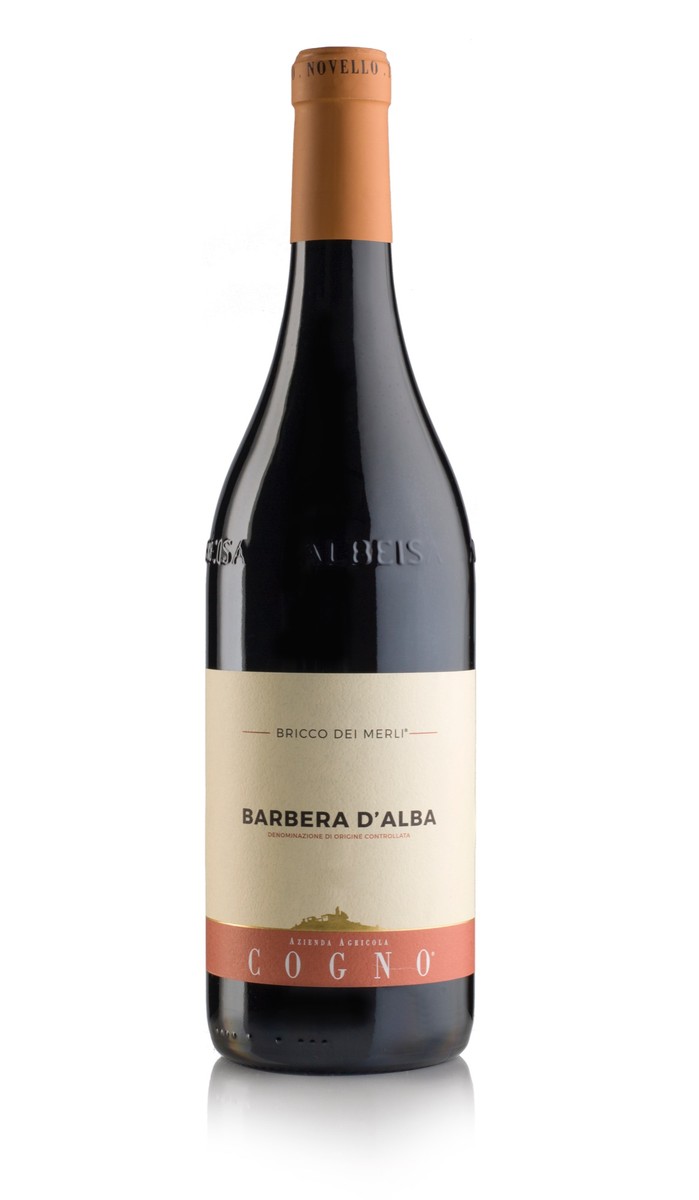 Elvio Cogno Barbera D'Alba Bricco dei Merli 2021 8033675416113