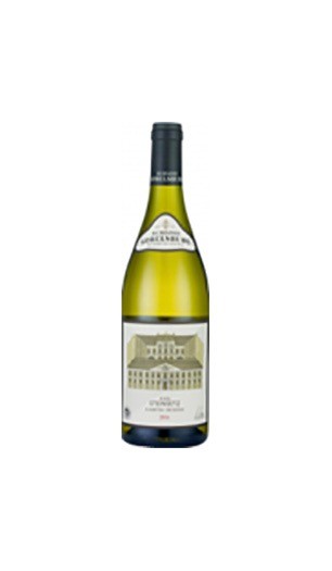 Schloss Gobelsburg Grüner Veltliner Ried Steinsetz 2023 9120002403706