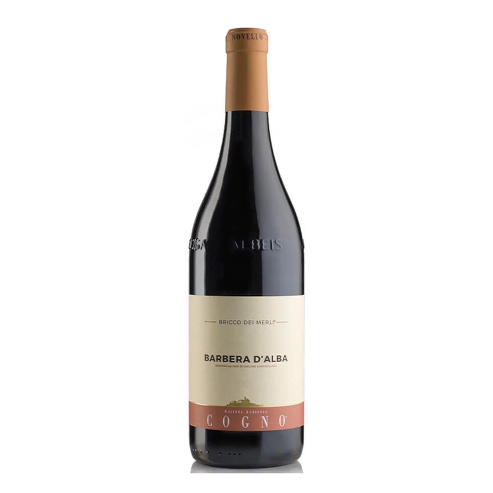 Elvio Cogno Barbera D'Alba DOC Bricco dei Merli 2023 8033675416137