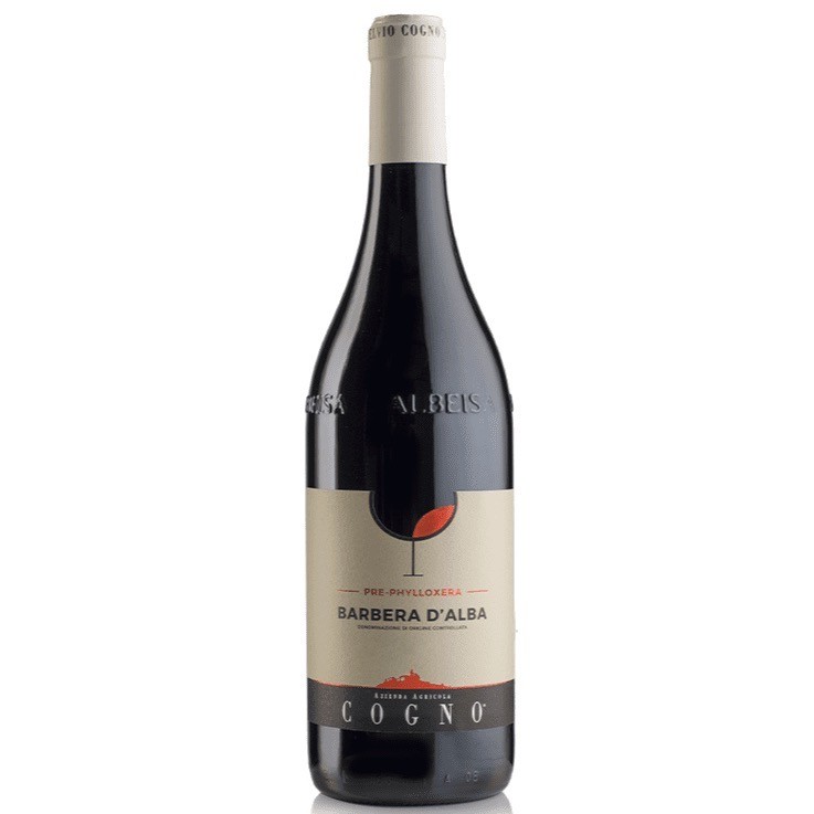 Elvio Cogno Barbera Pre-Phylloxera 2023 8033675419138