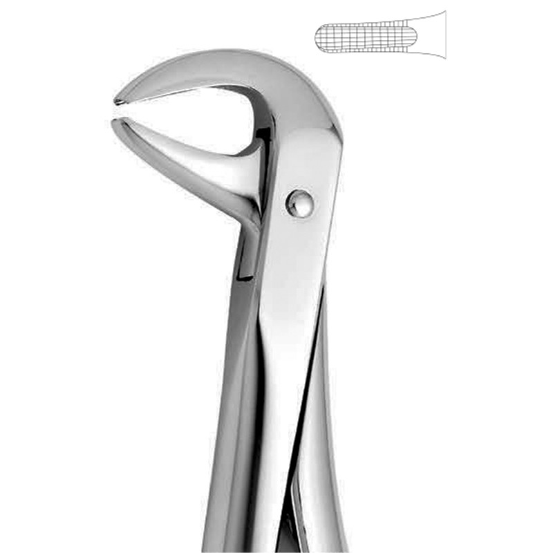 Fórcep incisivos y premolares inferior