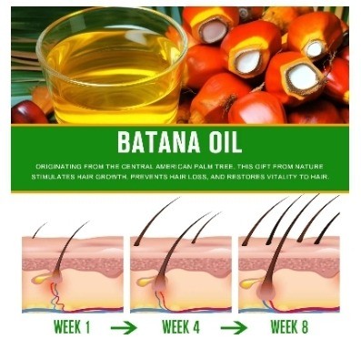 Batana Oil for Hair Growth 60ml