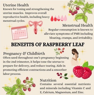 Organic Raspberry Tea