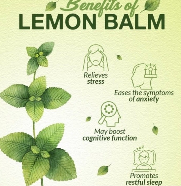 Nature's Way Lemon Balm Capsules (30s)