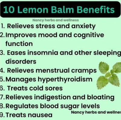 Nature's Way Lemon Balm Capsules (30s)