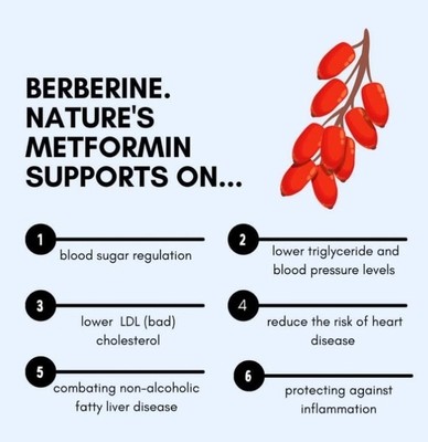 NOW Berberine Glucose Support (30s)