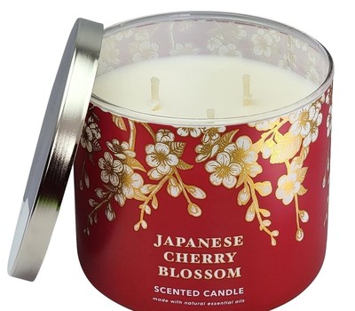 Bath & Body Works 3 Wick Candles